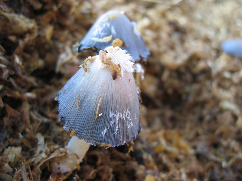 Escursione del  sabato pomeriggio